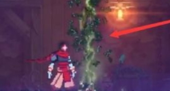 msedge_fu181kMeQo.jpg