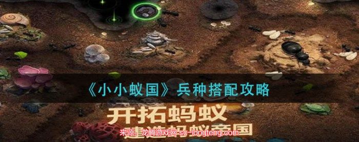 chrome_wq0gqVO6mx.jpg