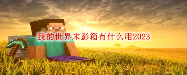 我的世界末影箱有什么用2023