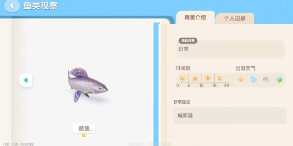 心动小镇钓鱼攻略