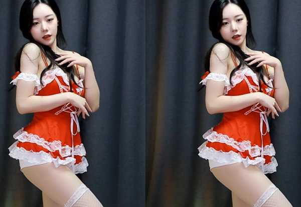 Zoom与动物Zoom大全美国